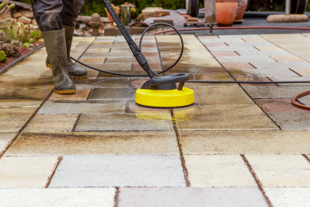 Best Driveway Pressure Washing  in World Golf Village, FL